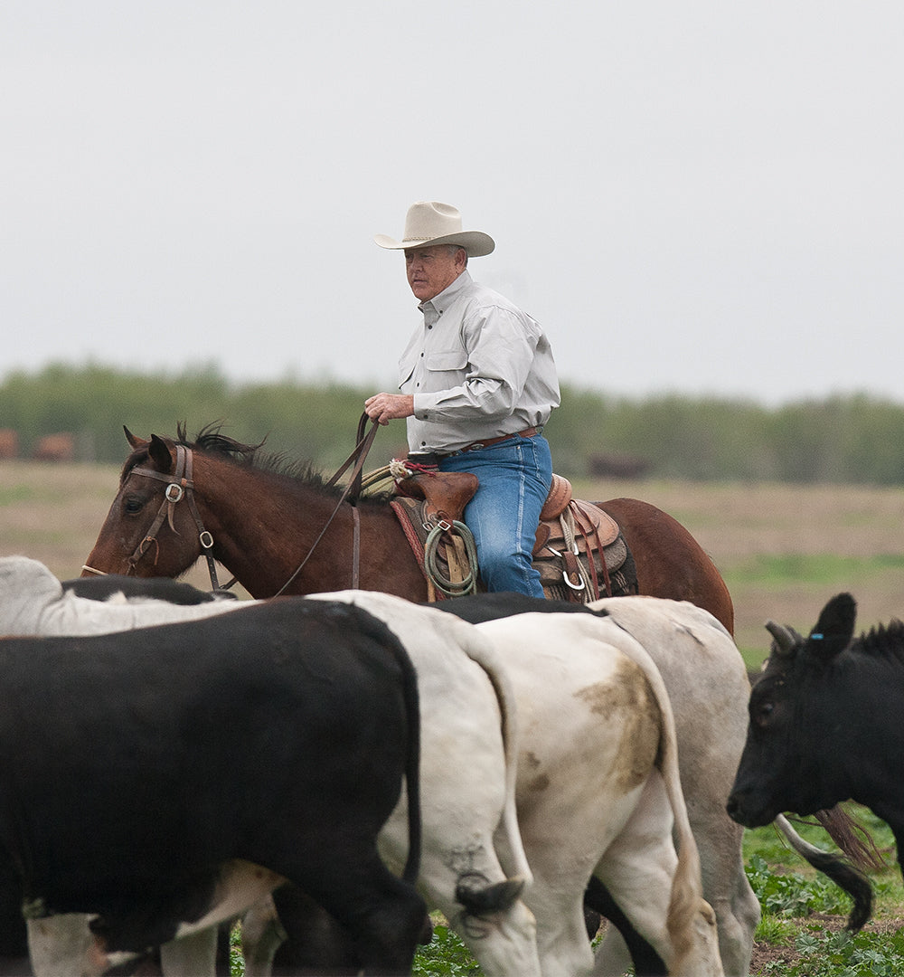 History of Nolan Ryan Beef  Legendary Texas Raised Beef 🥩